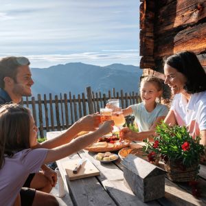 Almsommer im Salzburger Land