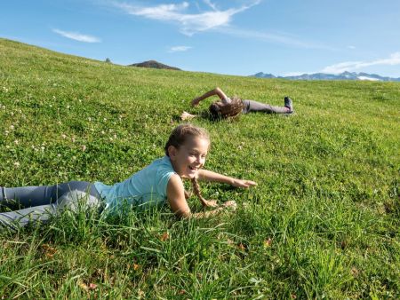 Almsommer in Grossarl