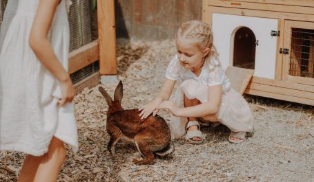 Streichelzoo mit Tieren direkt beim Hotel Kristall