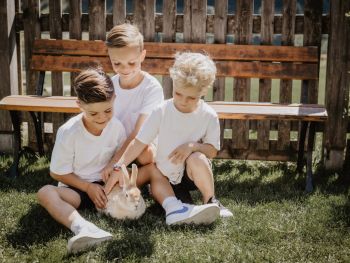 Streichelzoo im Hotel Kristall