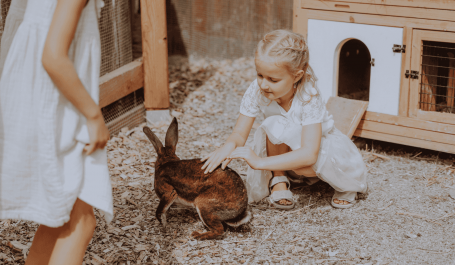 Spielplatz & Streichelzoo